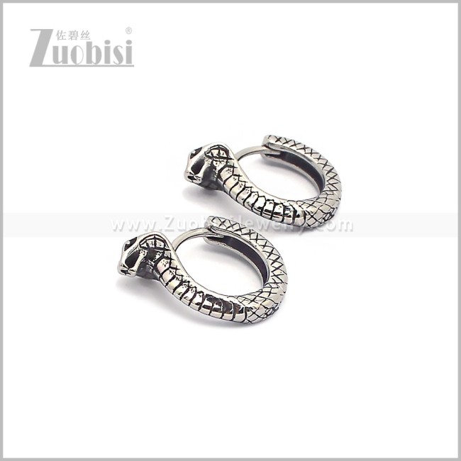 Stainless Steel Earring e002932S