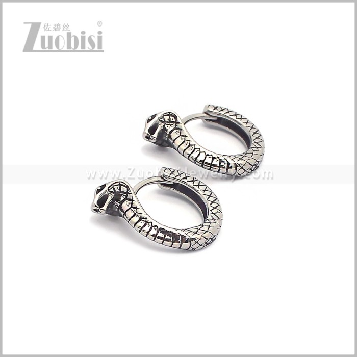 Stainless Steel Earring e002932S