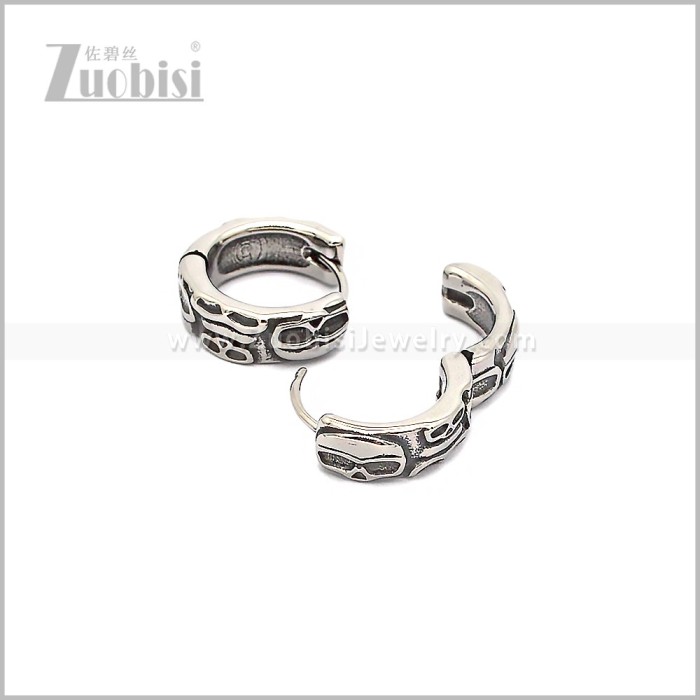 Stainless Steel Earring e002923S