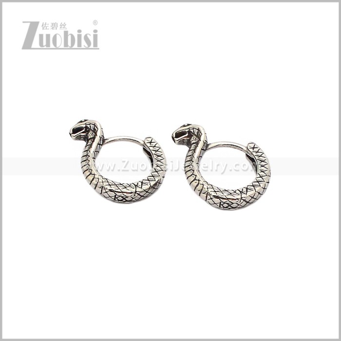 Stainless Steel Earring e002932S