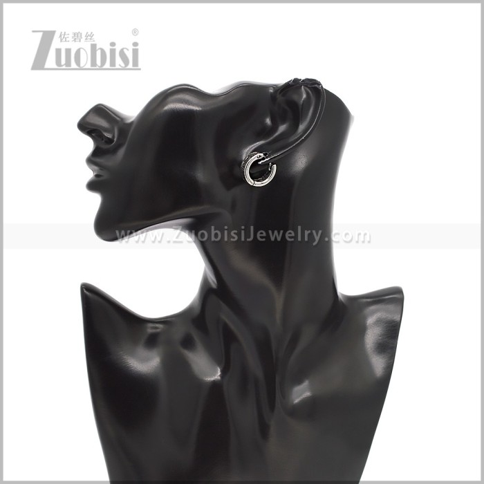 Stainless Steel Earring e002910S