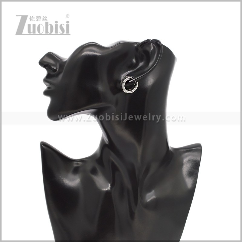Stainless Steel Earring e002910S