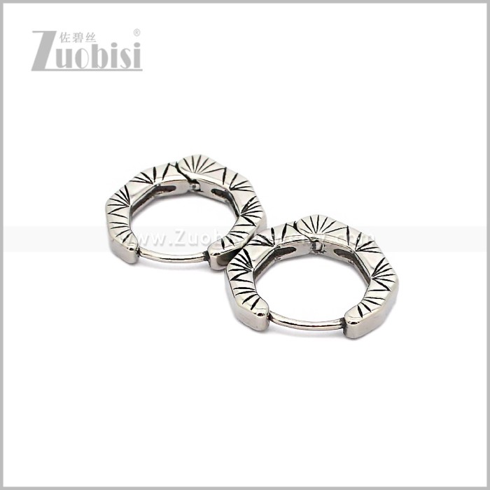 Stainless Steel Earring e002917S