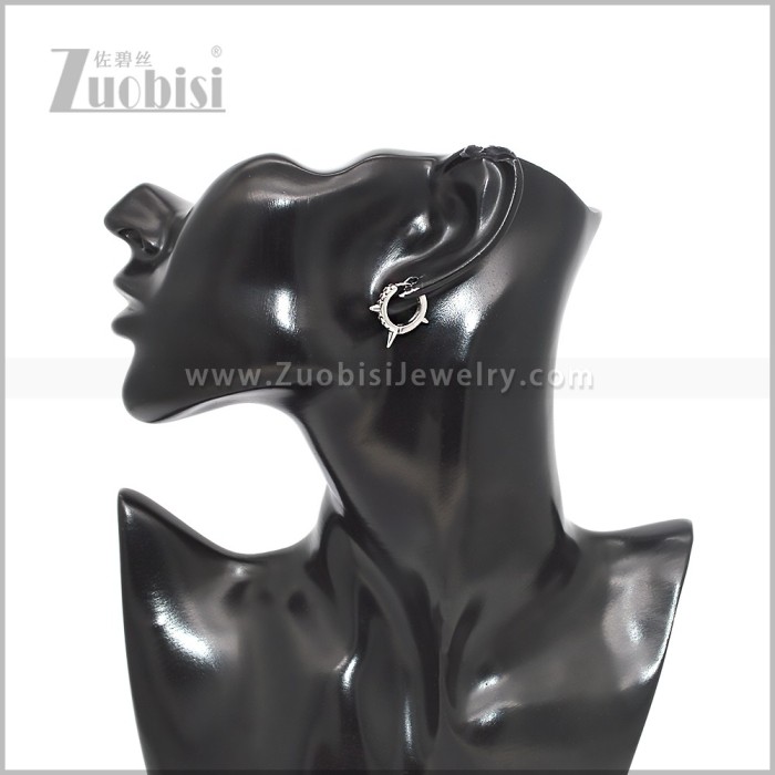 Stainless Steel Earring e002904S