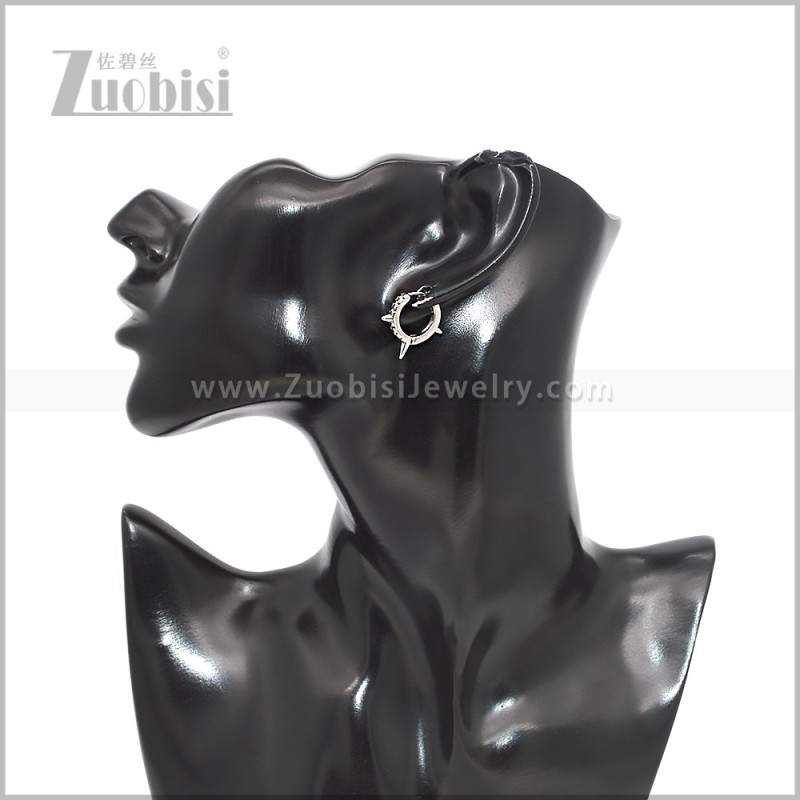 Stainless Steel Earring e002904S