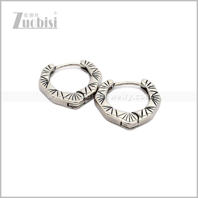 Stainless Steel Earring e002917S