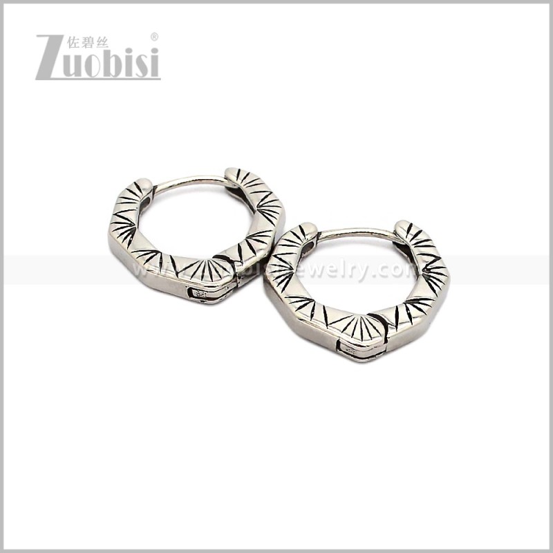 Stainless Steel Earring e002917S