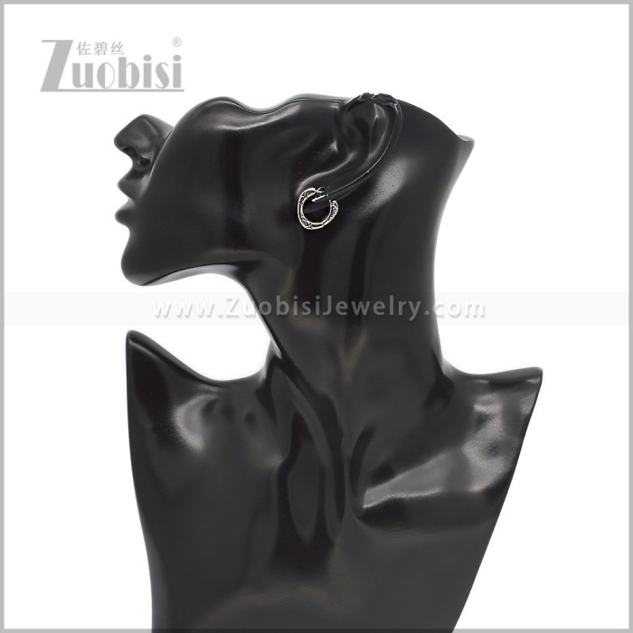 Stainless Steel Earring e002936S