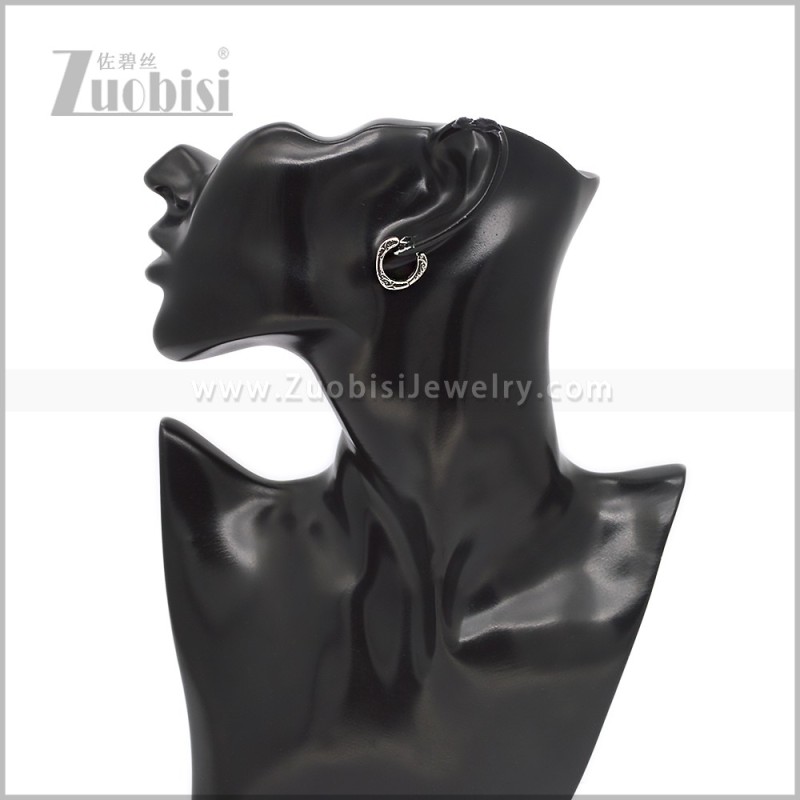 Stainless Steel Earring e002936S