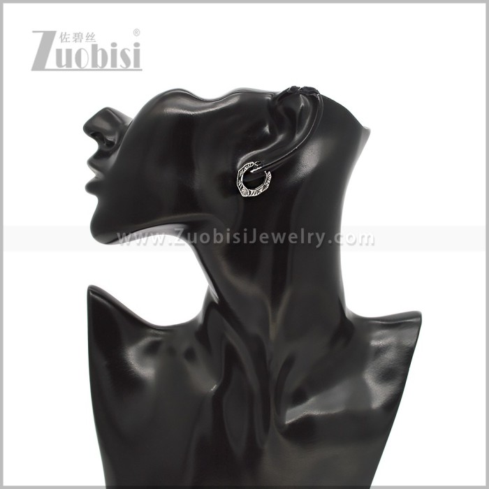Stainless Steel Earring e002917S