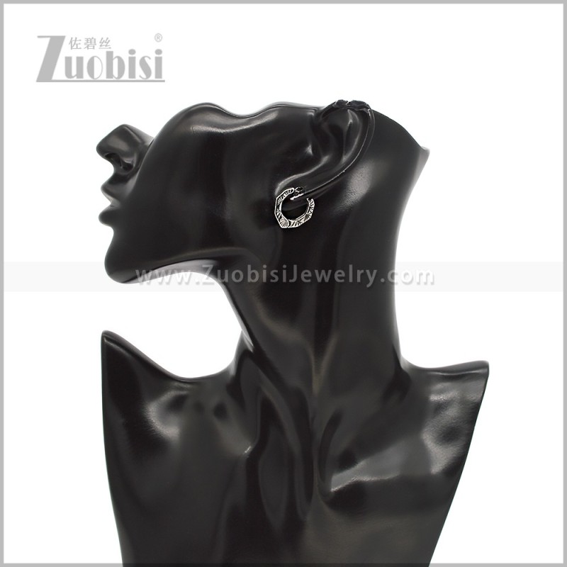 Stainless Steel Earring e002917S