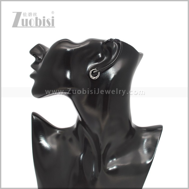 Stainless Steel Earring e002938S
