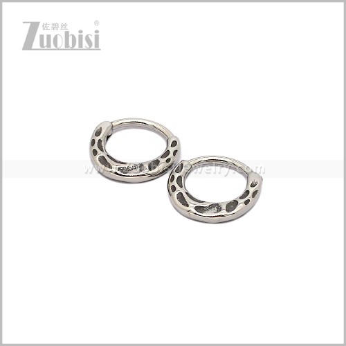 Stainless Steel Earring e002938S