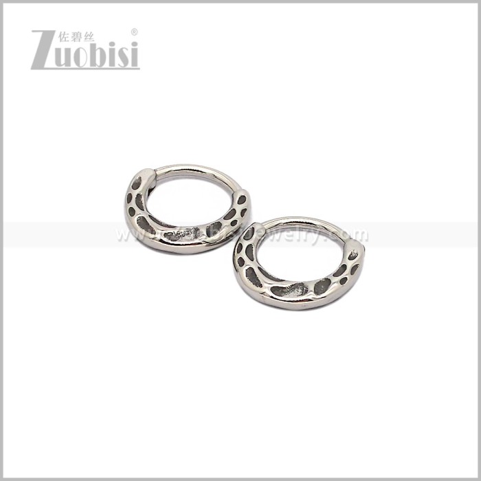 Stainless Steel Earring e002938S