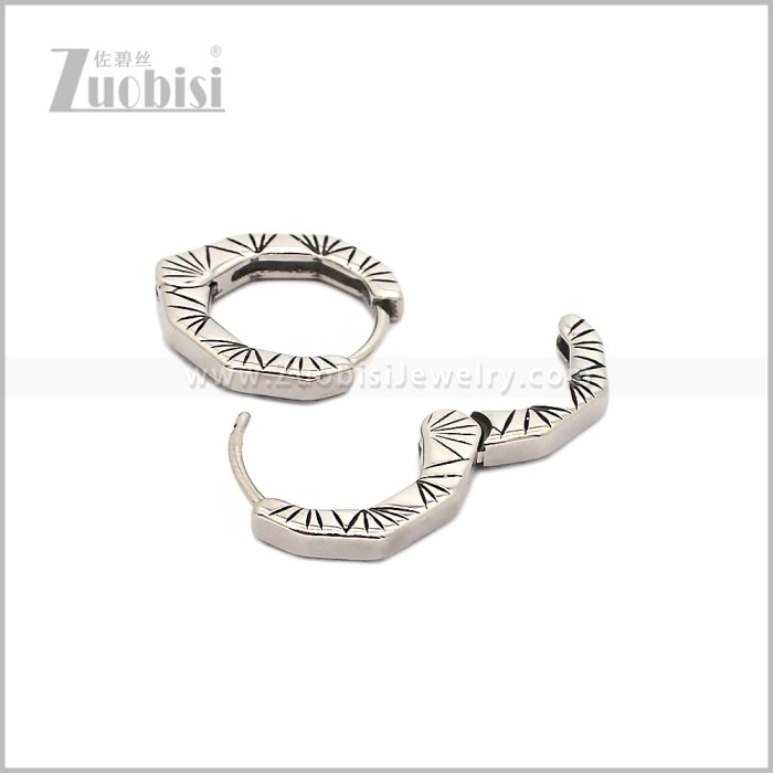 Stainless Steel Earring e002917S