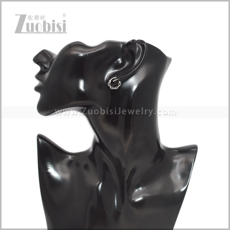 Stainless Steel Earring e002934S