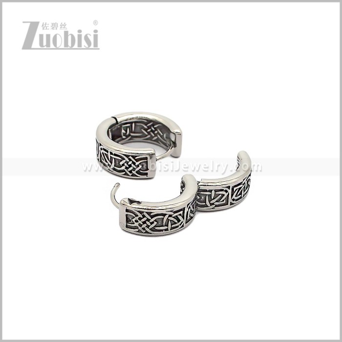 Stainless Steel Earring e002910S