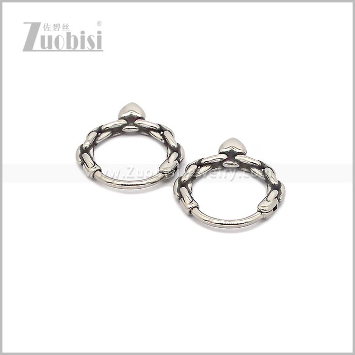 Stainless Steel Earring e002937S