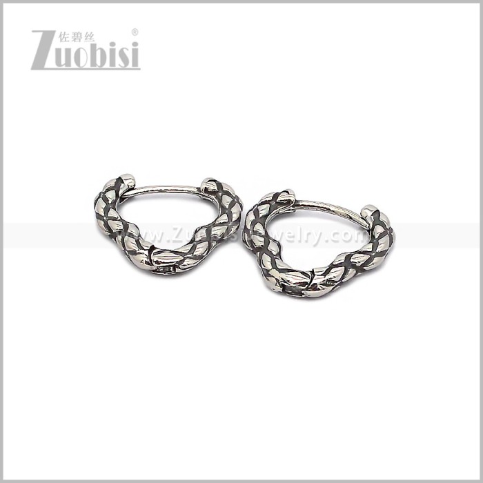 Stainless Steel Earring e002911S