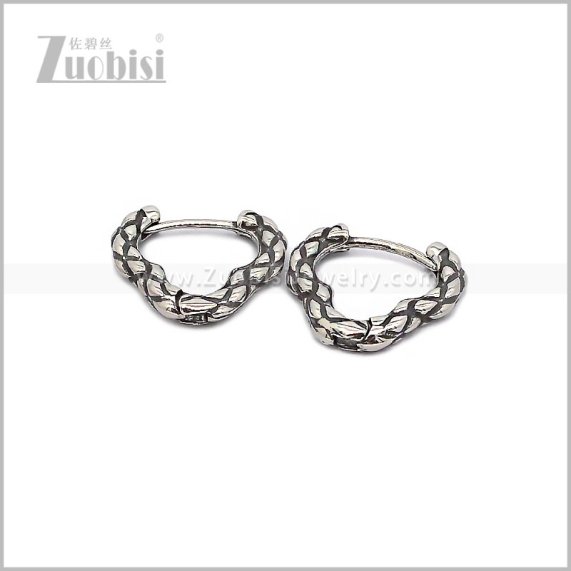 Stainless Steel Earring e002911S