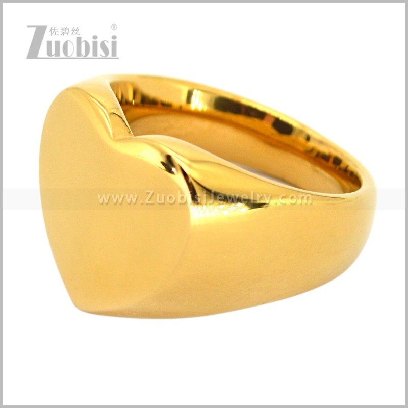 Stainless Steel Ring r010976G