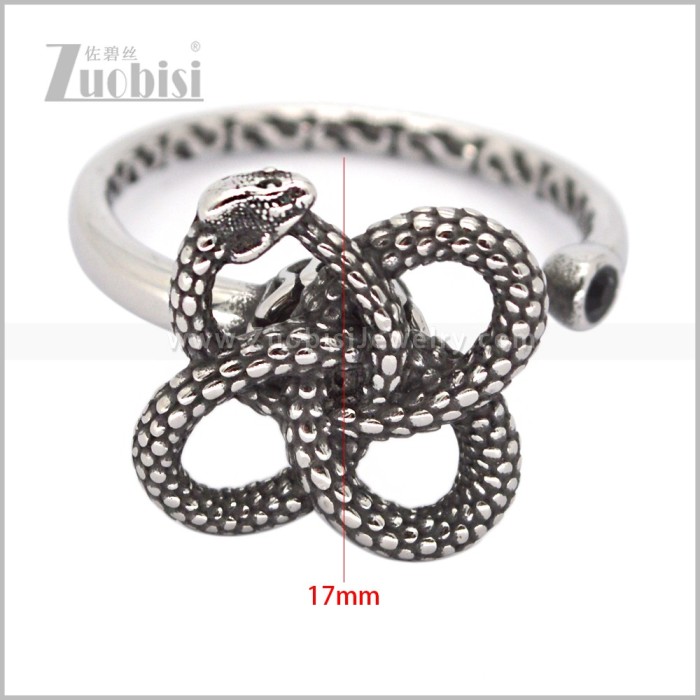 Stainless Steel Ring r010988S