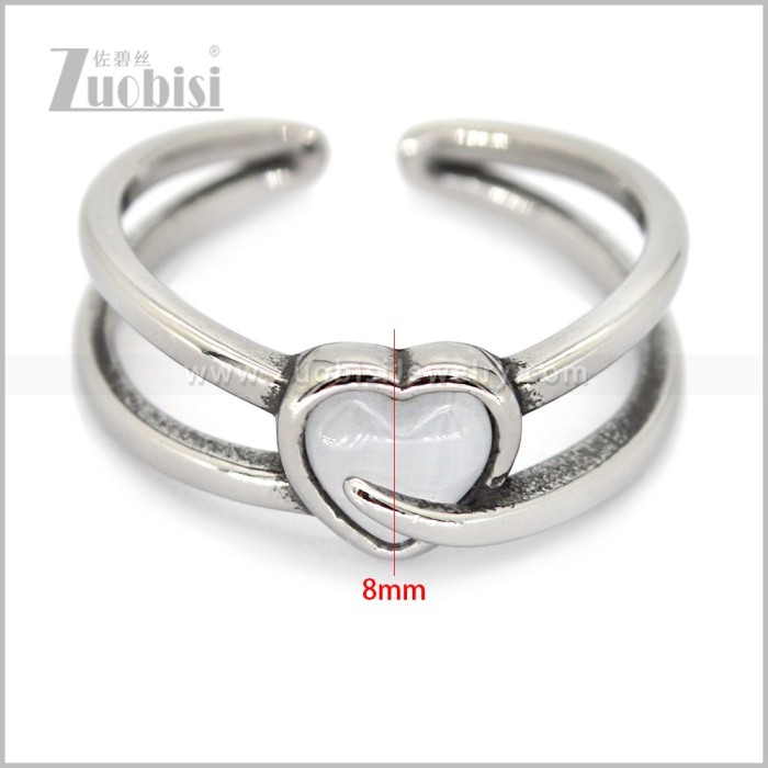 Stainless Steel Ring r011010S1