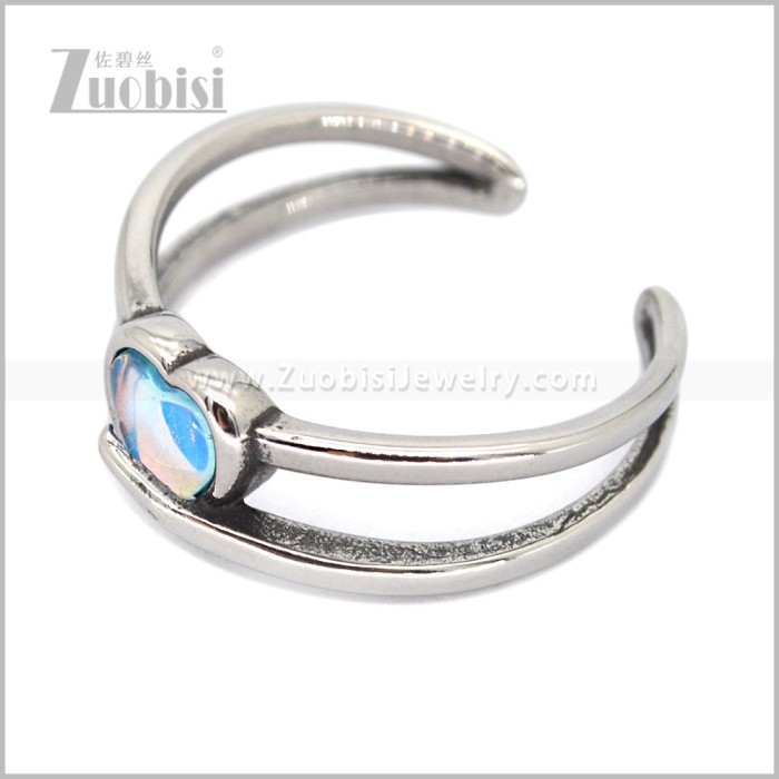 Stainless Steel Ring r011010S6