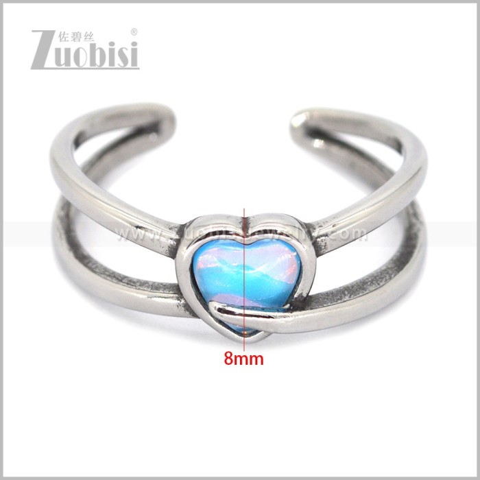 Stainless Steel Ring r011010S6