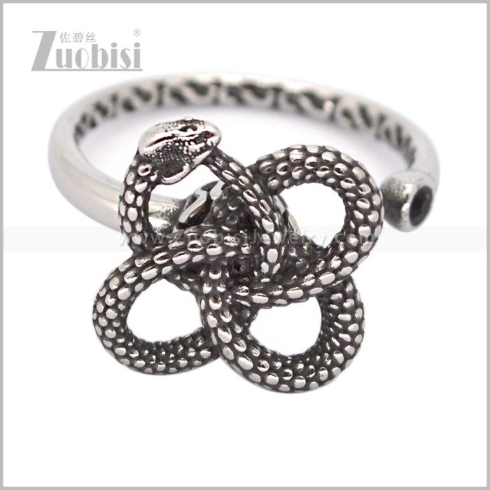 Stainless Steel Ring r010988S