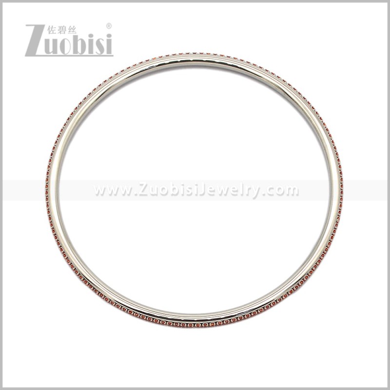 Stainless Steel Bangles b011093S9