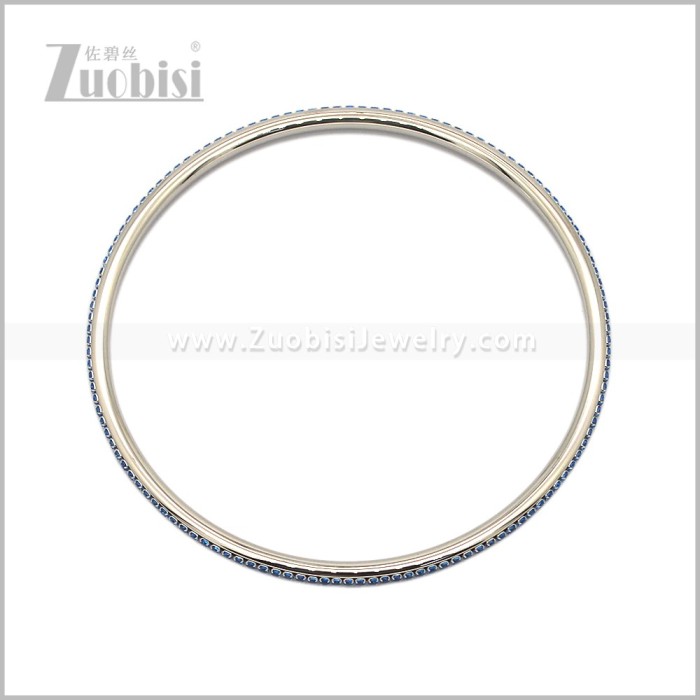 Stainless Steel Bangles b011093S5