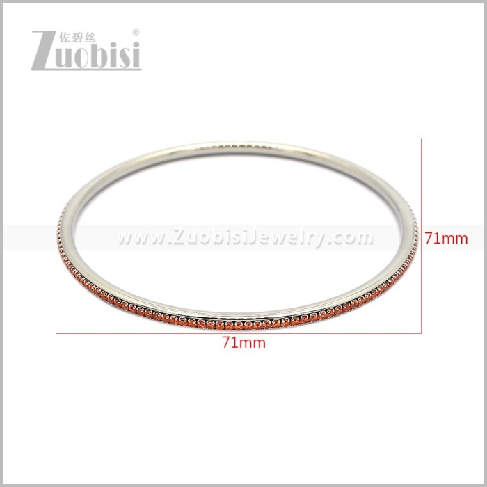 Stainless Steel Bangles b011093S9