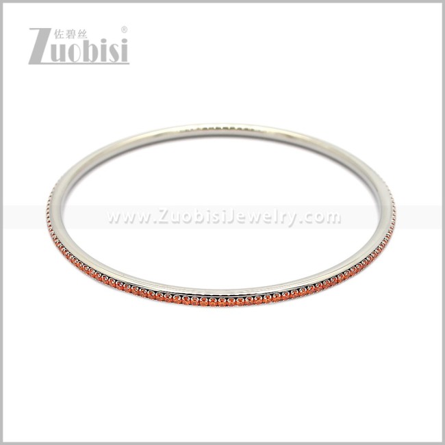 Stainless Steel Bangles b011093S9