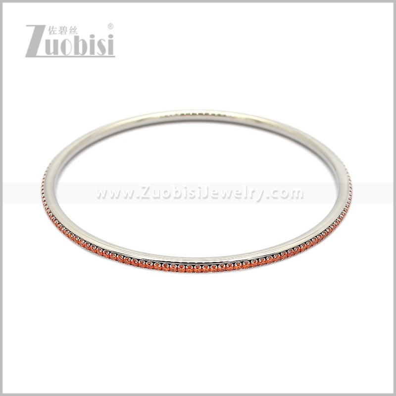 Stainless Steel Bangles b011093S9