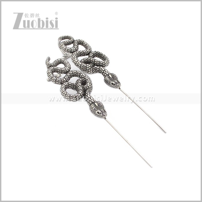 Stainless Steel Earring e002981S