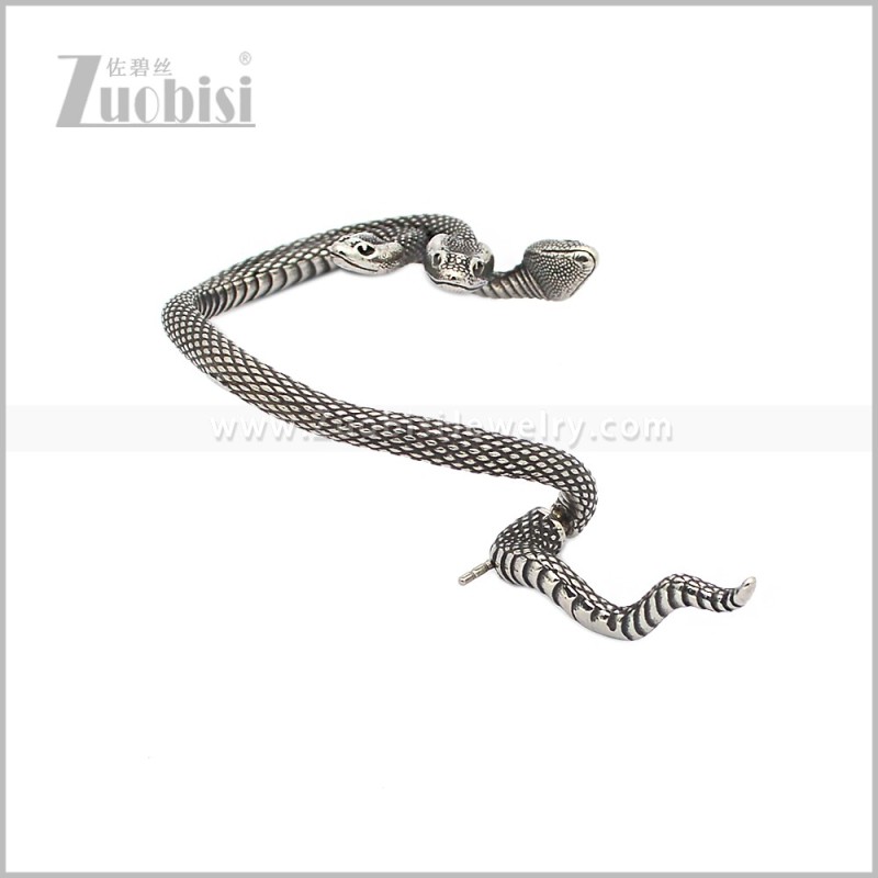 Stainless Steel Earring e002951S