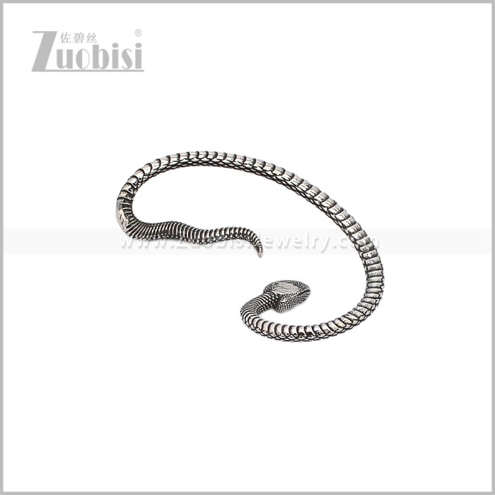 Stainless Steel Earring e002943S