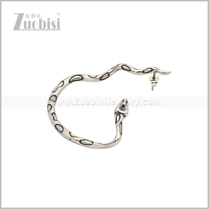Stainless Steel Earring e002970S