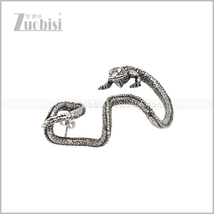 Stainless Steel Earring e002966S