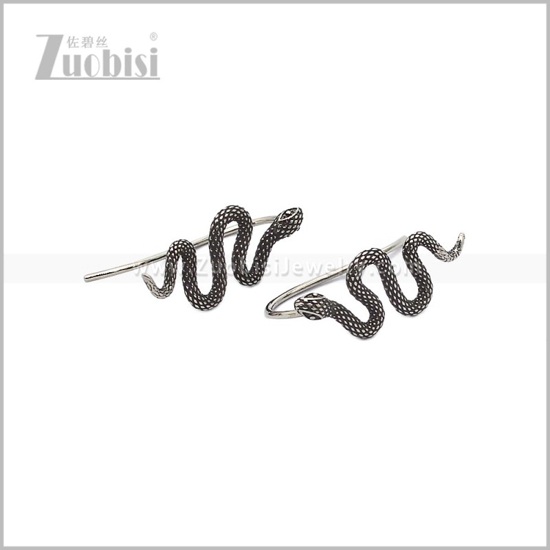 Stainless Steel Earring e002945S