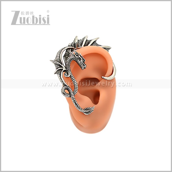 Stainless Steel Earring e002950S