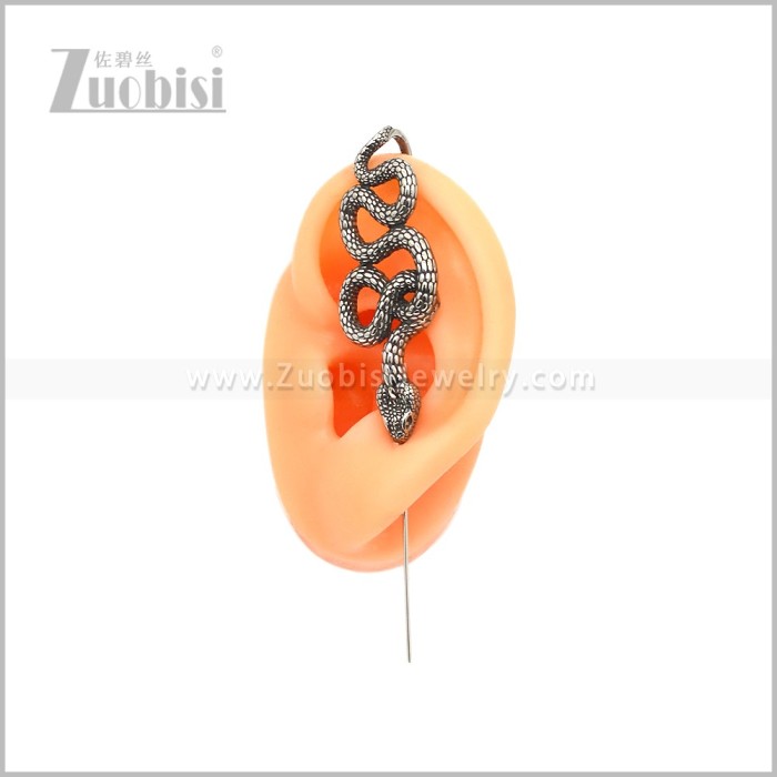 Stainless Steel Earring e002981S