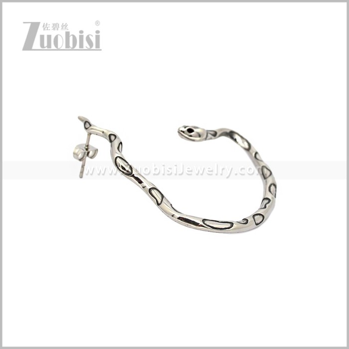 Stainless Steel Earring e002970S