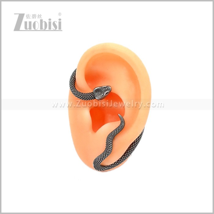 Stainless Steel Earring e002943S