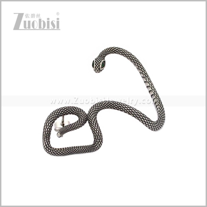 Stainless Steel Earring e002964S