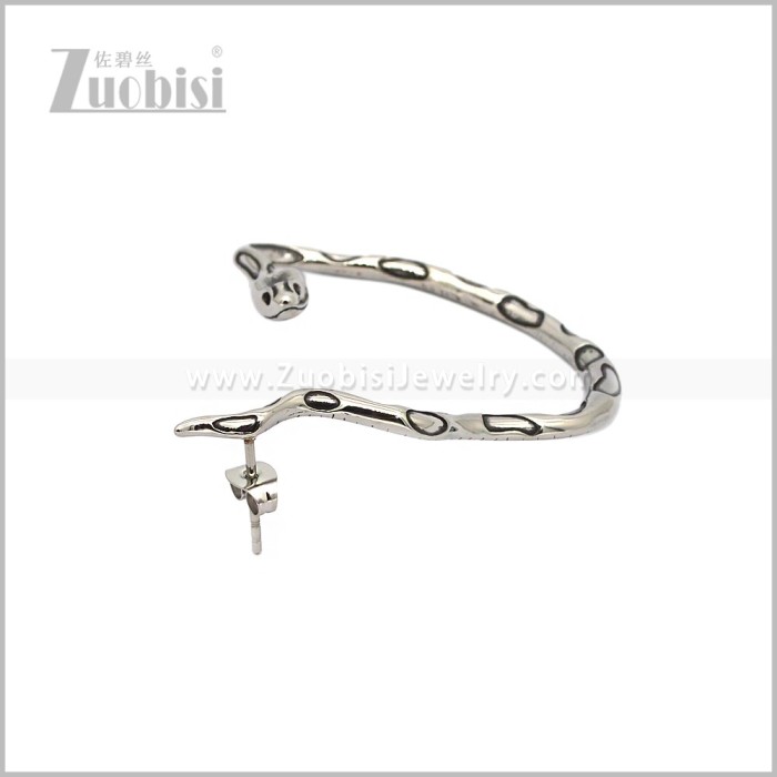 Stainless Steel Earring e002970S