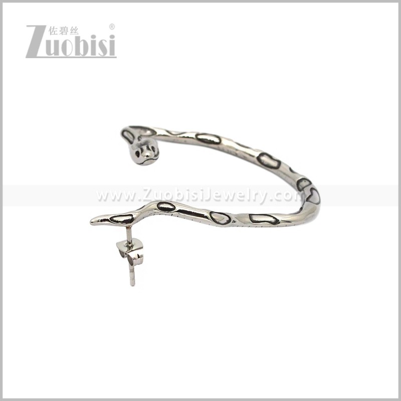 Stainless Steel Earring e002970S