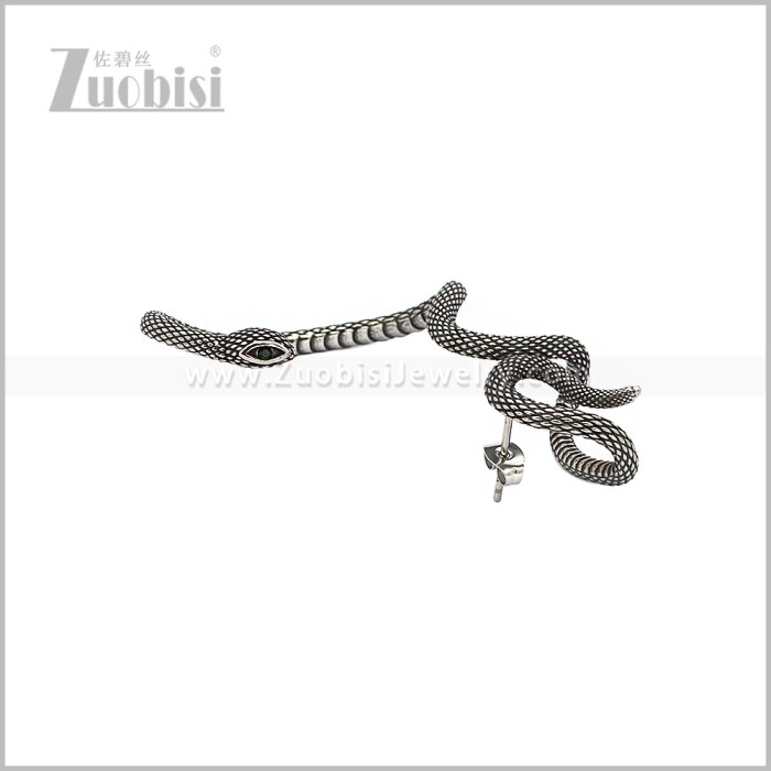 Stainless Steel Earring e002964S