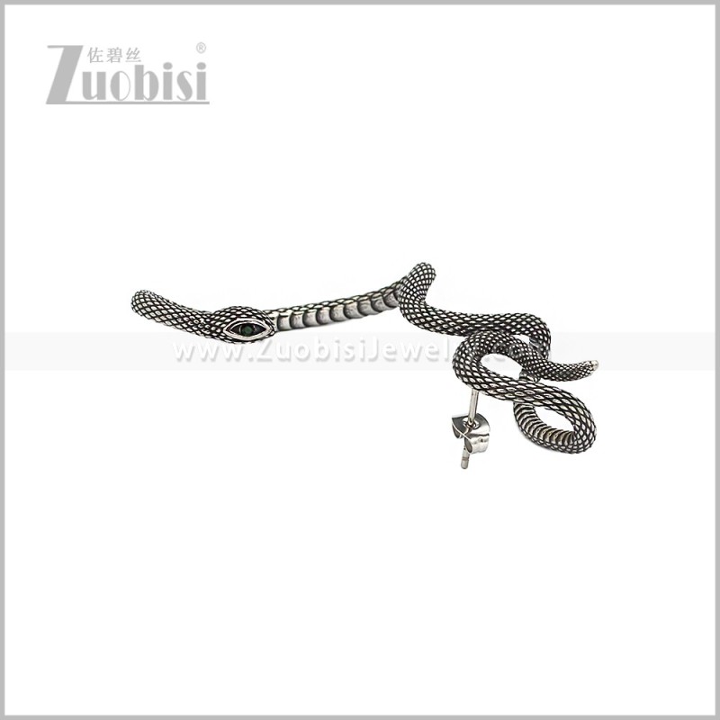 Stainless Steel Earring e002964S